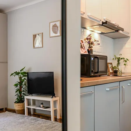 Apartment In Old Town Near Black Church & White Tower Brasov