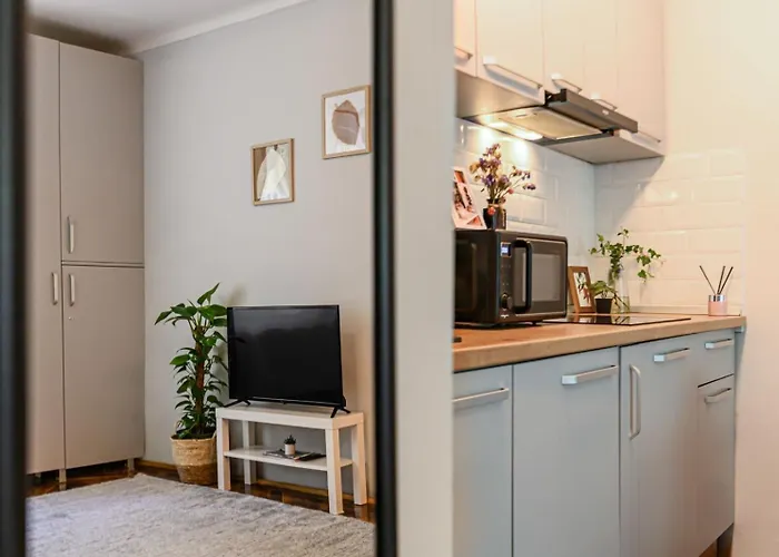 Apartamento In Old Town Near Black Church & White Tower Braşov